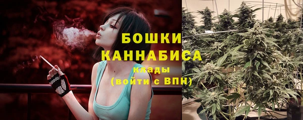 mdpv Лабытнанги