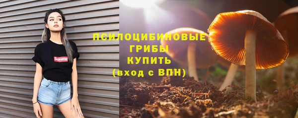 трава Ладушкин