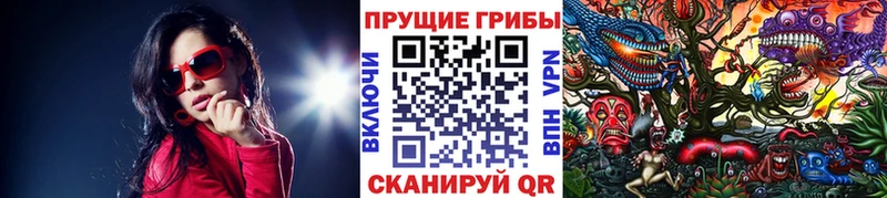 Купить  Чёрмоз  Псилоцибиновые грибы Magic Shrooms 